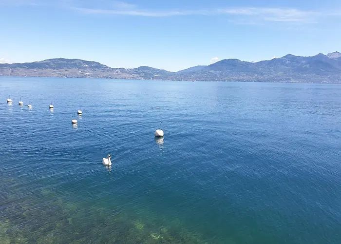 Szálloda Le Rivage *